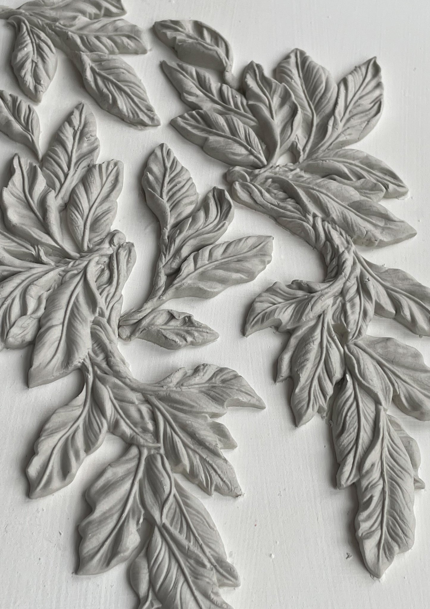 Viridis Mould By Iron Orchid Designs - New Spring 2024 Release