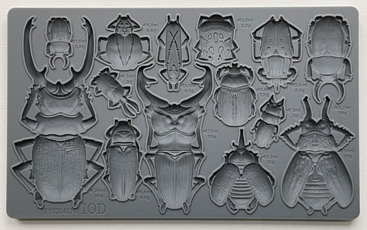Specimens Mould By Iron Orchid Designs - New Spring 2024 Release