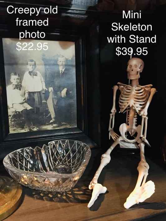 Mini Skeleton with Stand 17 inches Tall